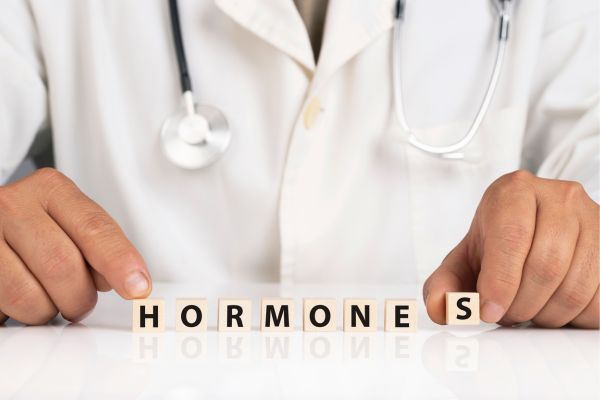 ฮอร์โมนอะไรบ้าง ที่ส่งผลต่อความอ้วน